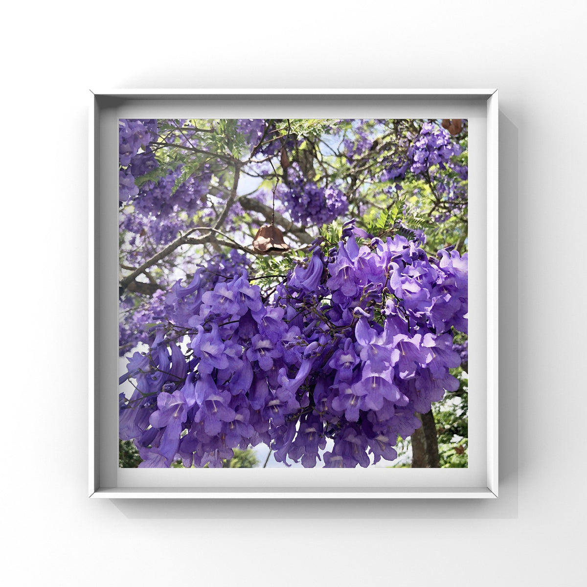 Purple Jacaranda Flower Wall Art Printable, Vibrant Botanical Photography, Lilac Floral Decor, Digital Download