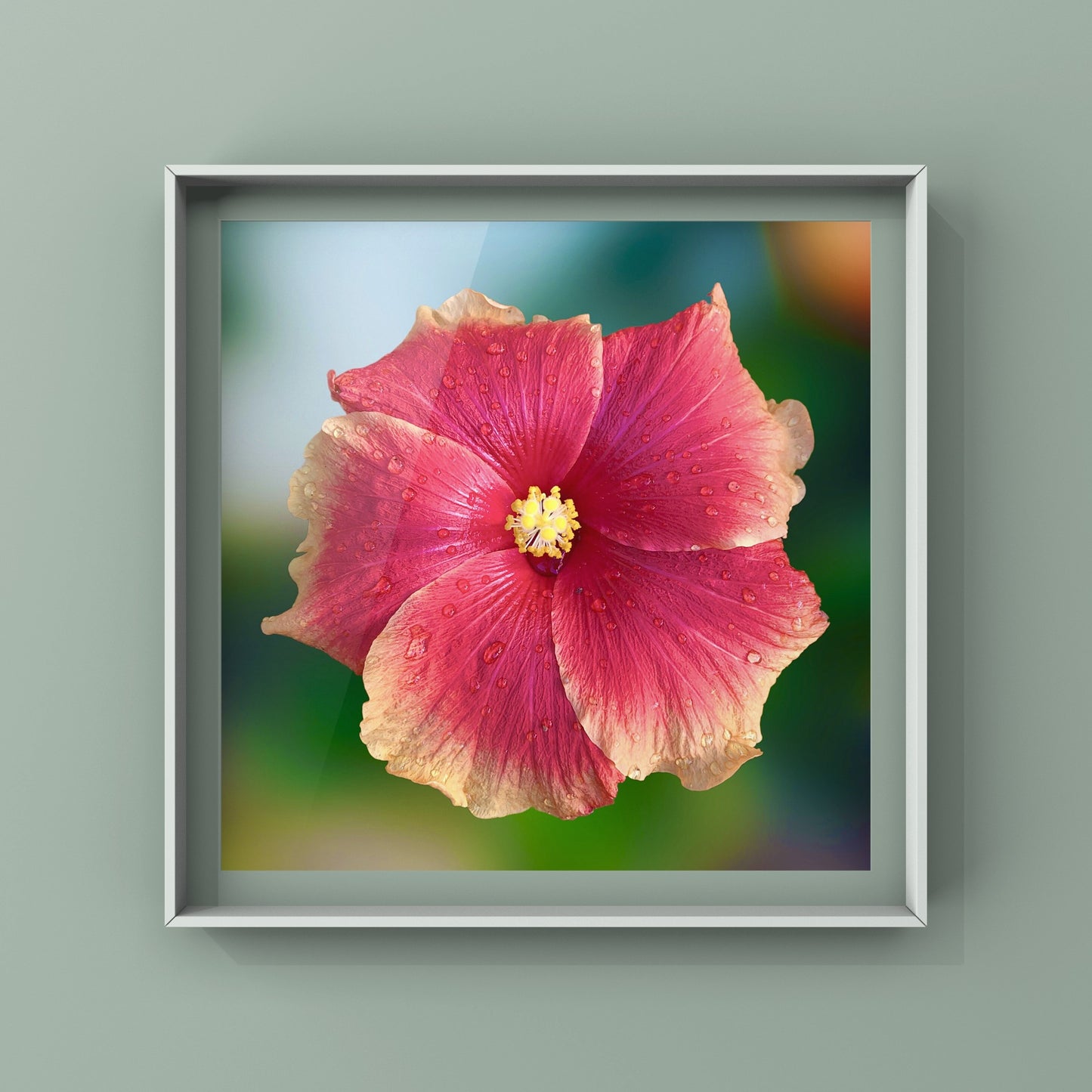 Hibiscus Flower Wall Art Bundle, 10 Botanical Photography Prints, Colour Collection, Digital Download