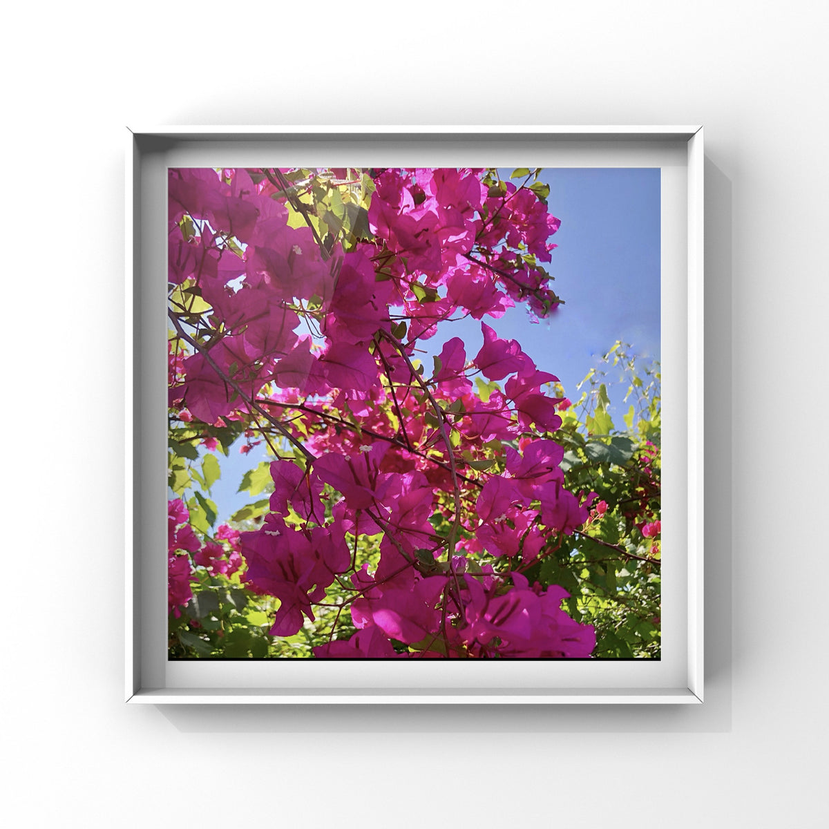 Pink Bougainvillea Wall Art Printable, Flower Photography, Vibrant Garden Bloom Decor, Botanical Digital Download