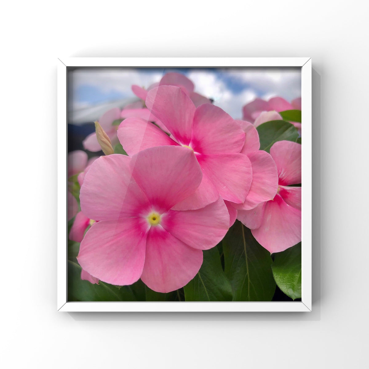 Vibrant Pink Flowers Wall Art Printable, Floral Photography, Botanical Decor, Digital Download
