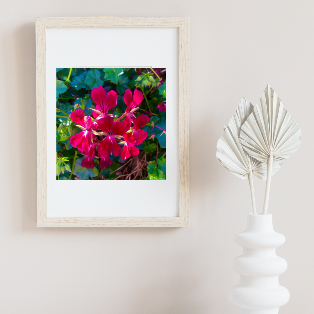 Bright Red Geranium Flowers Wall Art Printable, Floral Photography, Botanical Decor, Digital Download