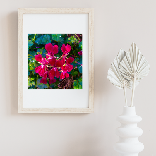 Bright Red Geranium Flowers Wall Art Printable, Floral Photography, Botanical Decor, Digital Download
