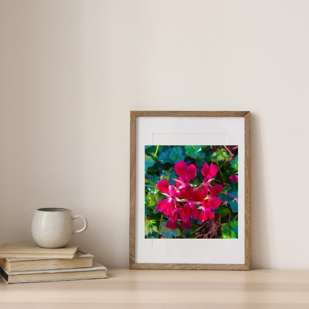 Bright Red Geranium Flowers Wall Art Printable, Floral Photography, Botanical Decor, Digital Download